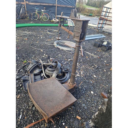 Lot 46        
