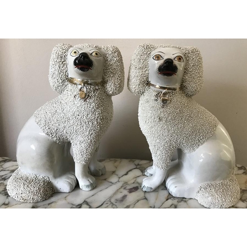 102 - A pair of 19thC Staffordshire dogs. 24cm h. Good condition.