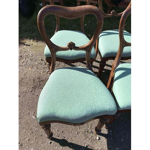 1425 - A mahogany tip top pedestal dining table with 6 rosewood balloon back dining chairs.