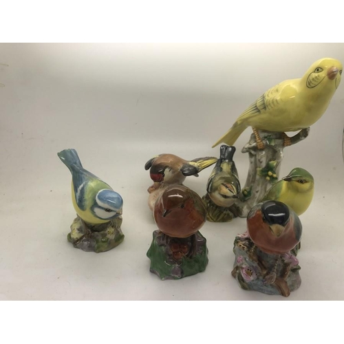 52 - Six Royal Worcester bird figures, Bullfinch, Wood Warbler, chip to beak, Robin, Goldfinch, chip to w... 