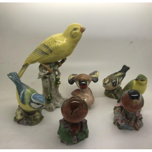 52 - Six Royal Worcester bird figures, Bullfinch, Wood Warbler, chip to beak, Robin, Goldfinch, chip to w... 