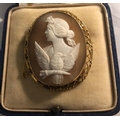 A 9ct gold mounted shell cameo brooch. 4 x 3.5cms.