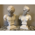 Two British Museum Company busts. 30cms h, good condition.