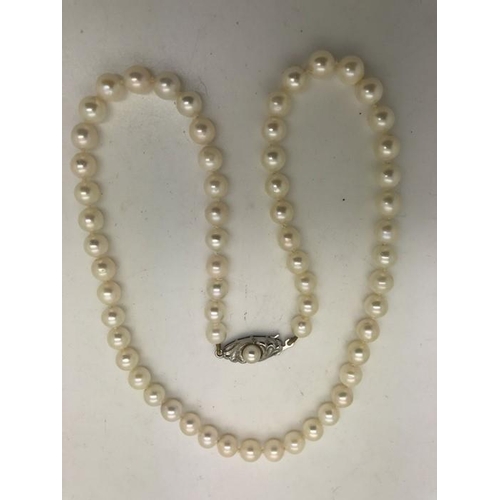 581 - A single strand freshwater pearl necklace with a silver clasp.