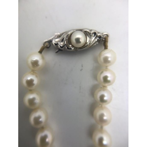 581 - A single strand freshwater pearl necklace with a silver clasp.