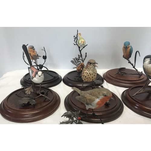 65 - Coalport British Wild Birds collection, hand painted on metal bronze effect twigs, eight with wood b... 