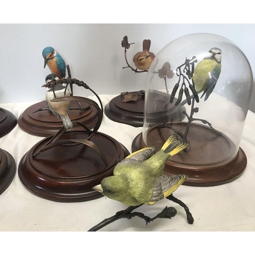 65 - Coalport British Wild Birds collection, hand painted on metal bronze effect twigs, eight with wood b... 