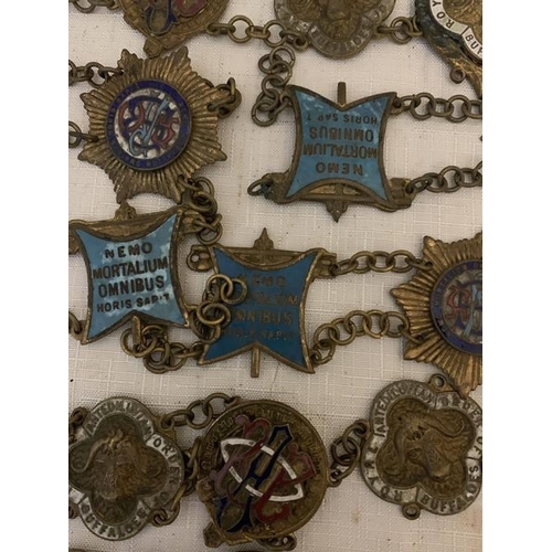 1216 - A large quantity of Masonic badges, and chains including of Order of Royal Buffalos etc.