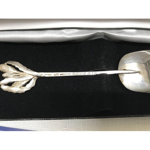 132 - Harris and Son sterling silver wildflowers spoon Banksia with box and a sterling silver pin dish mad... 