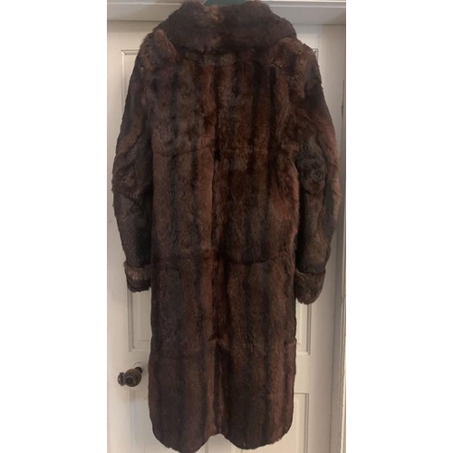 172 - A 1940's musquash fur coat with copy of photograph showing it worn by a brides grandmother in 1945.