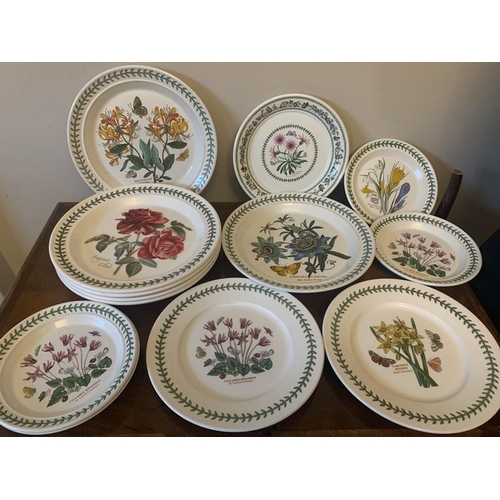 293 - A quantity of Portmeirion, mainly Botanic Garden pottery to include plates, bowls, shell dishes, fru... 