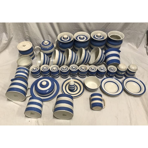 299 - T.G. Green blue and white Cornish ware. Storage jars 10cms, butter dish, salt and sugar pots, coffee... 