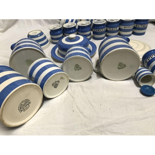 299 - T.G. Green blue and white Cornish ware. Storage jars 10cms, butter dish, salt and sugar pots, coffee... 