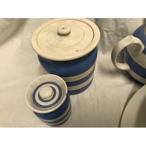 299 - T.G. Green blue and white Cornish ware. Storage jars 10cms, butter dish, salt and sugar pots, coffee... 