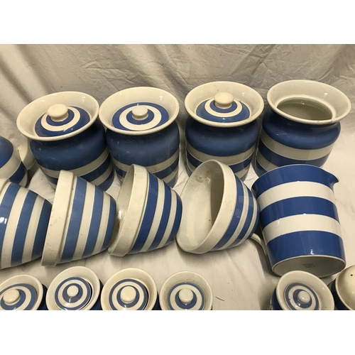 299 - T.G. Green blue and white Cornish ware. Storage jars 10cms, butter dish, salt and sugar pots, coffee... 