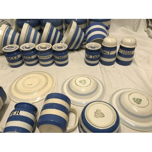 299 - T.G. Green blue and white Cornish ware. Storage jars 10cms, butter dish, salt and sugar pots, coffee... 