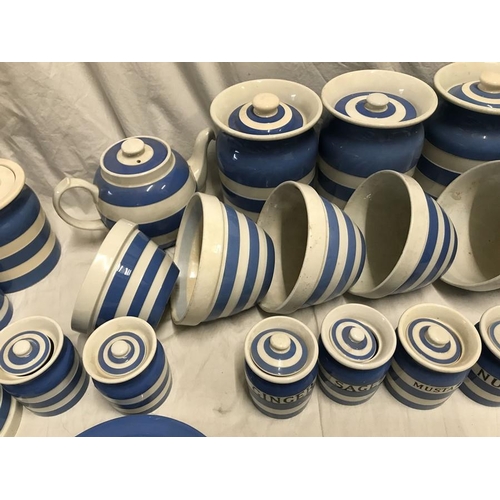 299 - T.G. Green blue and white Cornish ware. Storage jars 10cms, butter dish, salt and sugar pots, coffee... 