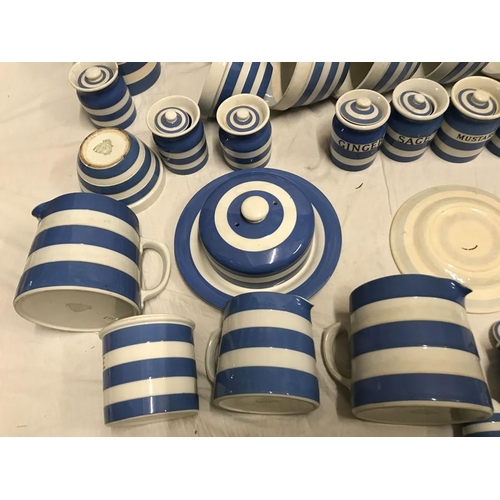 299 - T.G. Green blue and white Cornish ware. Storage jars 10cms, butter dish, salt and sugar pots, coffee... 