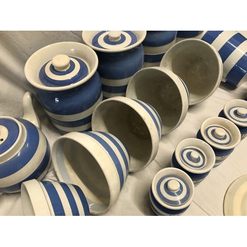 299 - T.G. Green blue and white Cornish ware. Storage jars 10cms, butter dish, salt and sugar pots, coffee... 