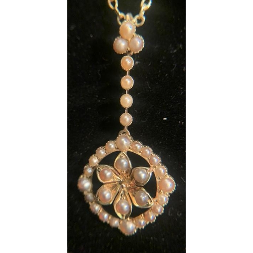 688 - Seed pearl pendant set in 15ct gold on a 9ct gold chain. 5.8gms total weight. 44cms l.