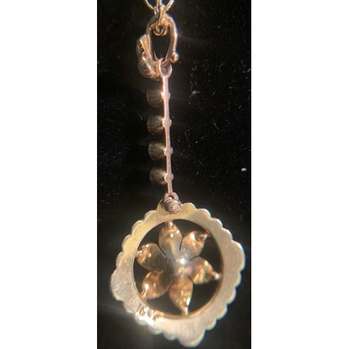 688 - Seed pearl pendant set in 15ct gold on a 9ct gold chain. 5.8gms total weight. 44cms l.