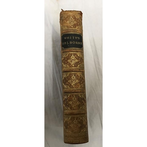 798 - Leather bound gilded book. Whites Selbourne. Natural History and Antiquities of Selborne, Rev Gilber... 