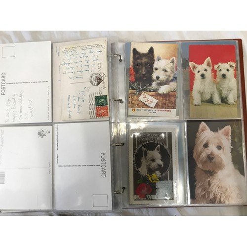 900 - An album of 62 postcards of Scottish Highland Terriers and some Players and Wills cigarette cards wi... 