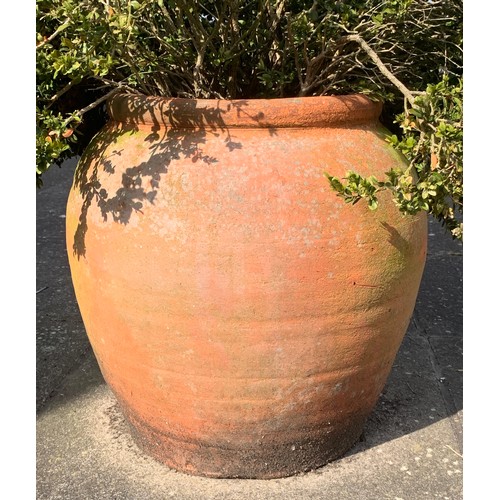 1529 - A terracotta pot 45cms h.