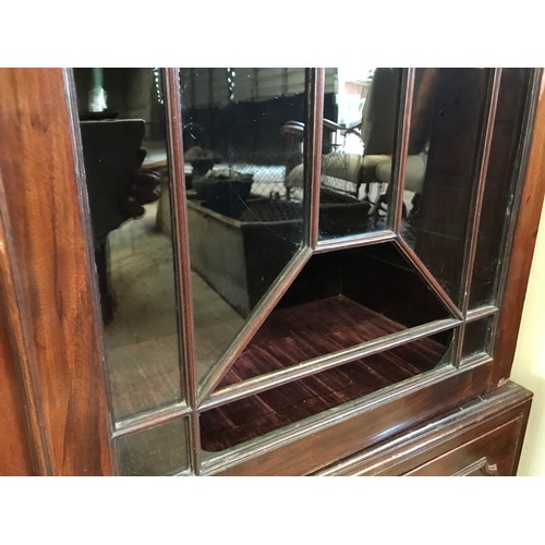 1365 - A two door glazed mahogany display cabinet with two drawers at base and lion head handles. 196cms h ... 