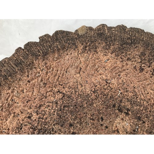 1558 - A reconstituted stone tree trunk bird bath and a terracotta planter. Bird bath 74cms h x 42cms w at ... 