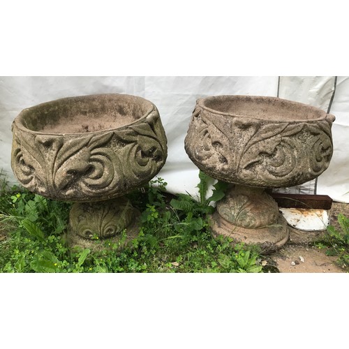 1559 - A pair of concrete garden urns with pedestal bases.