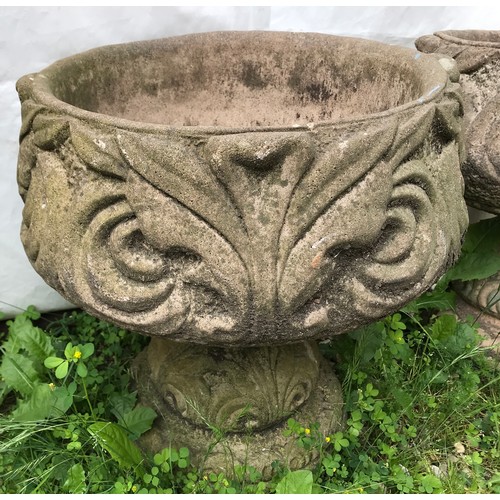 1559 - A pair of concrete garden urns with pedestal bases.