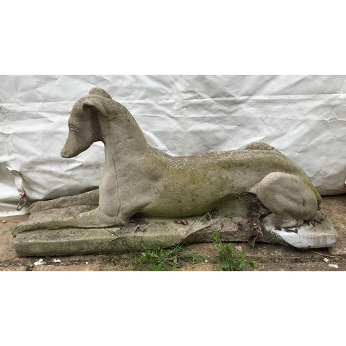 1560 - A large concrete garden ornament of a Grey Hound. 50cms h x 102cms l at base x 28cms w at base