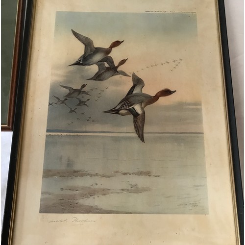 687 - Four wild bird prints to include a pair in gilt frames of 