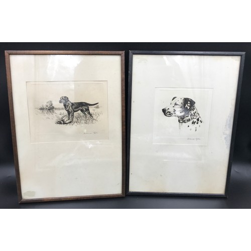 690 - Pair of framed etchings, signed to the border David Gee, Labrador retriever and Dalmatian, picture s... 