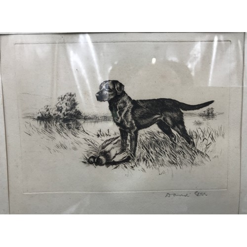 690 - Pair of framed etchings, signed to the border David Gee, Labrador retriever and Dalmatian, picture s... 