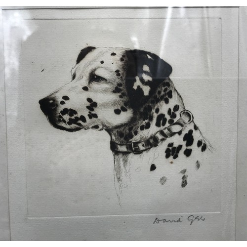 690 - Pair of framed etchings, signed to the border David Gee, Labrador retriever and Dalmatian, picture s... 