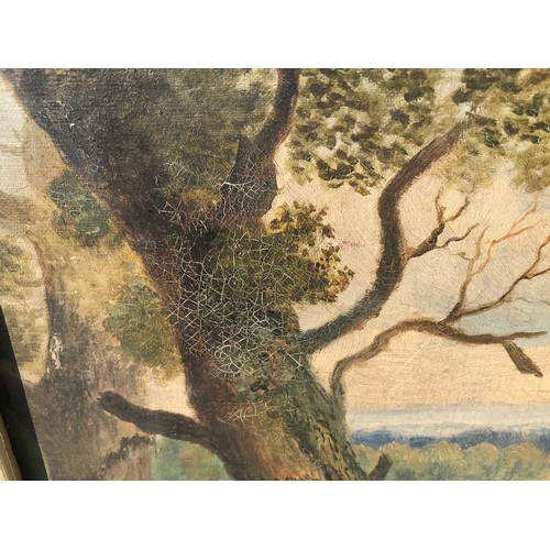 699 - J RICHARDSON. A large painting on canvas, view from Beverley Westwood, signed J Richardson L.L. C187... 