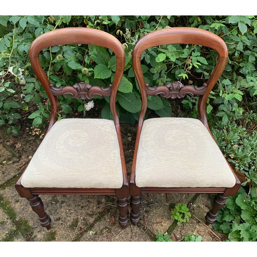 813 - A pair of Victorian balloon backed dining chairs.