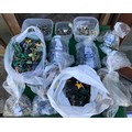 Box containing large collection of plastic army men predominantly from WW2 including Desert Rats, Ge... 