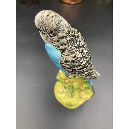 124 - Beswick blue Budgie, No. 1217
17cms h.