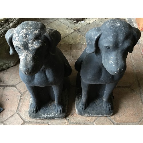 1322 - A pair of concrete Labrador dogs, 73cms h x 36cms x 25cms at base.