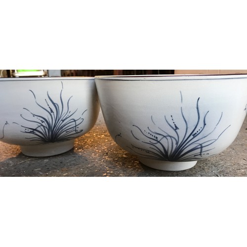 43 - A pair of blue and white pottery bowls with dragonfly and foliage decoration. 26cm w x 15.5cms h.