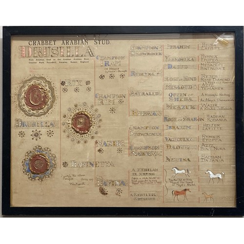 Crabbet Park Stud original pedigree for Drusilla by Lady Wentworth 1939. This pedigree is for Astrella, a purebred Arabian mare, from parents Rix and Dafinetta. Rix from Champions Iram (or Miraze) by Nasik = Bereyda and Rim. Hand painted in ink and colours, heightened with gold, features three wax seals two in Arabic relating to the parental origins and one with Lady Wentworth's coat of arms. A Kehilet El Krush of King Feysul, 1 bn Saoud strain, Nejd, Arabia, Dafina a white Kehileh el Krush presented by King Feysul, 1bn in 1927. Frame 42 x 53cms.