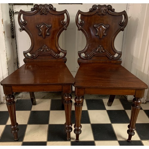 1282 - A pair of 19thC mahogany hall chairs.