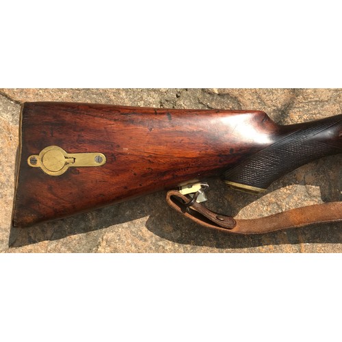 683 - A .550 percussion (converted from flintlock) shotgun 35.75'' barrel, Brass trigger guard, brass on b... 