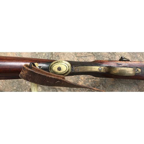 683 - A .550 percussion (converted from flintlock) shotgun 35.75'' barrel, Brass trigger guard, brass on b... 