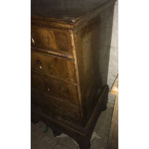 1227 - An 18thC walnut chest of drawers, 2 over 4 drawers, original brass drop handles. 102 w x 57 d x 116c... 