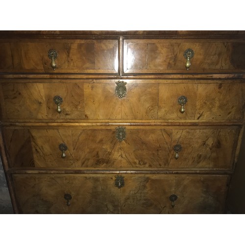 1227 - An 18thC walnut chest of drawers, 2 over 4 drawers, original brass drop handles. 102 w x 57 d x 116c... 