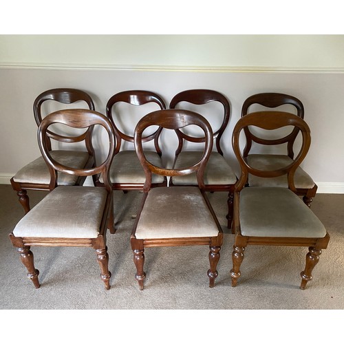 1259 - Seven balloon back Victorian dining chairs. 44 w at front x 85 h x 44cm to seat.